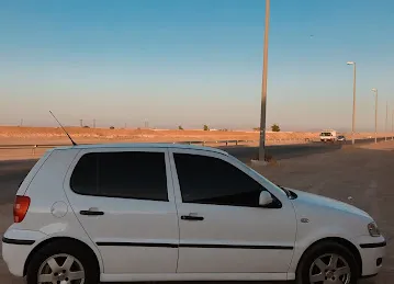 Cattle Market Masjid Al Ain