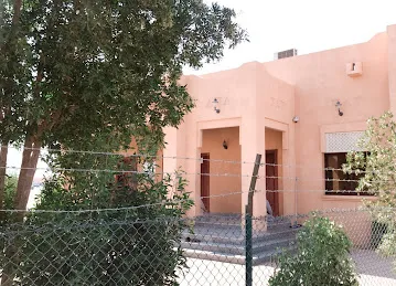 Cattle Market Masjid Al Ain