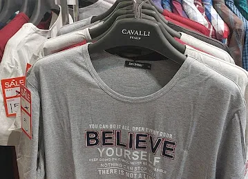 CAVALLI