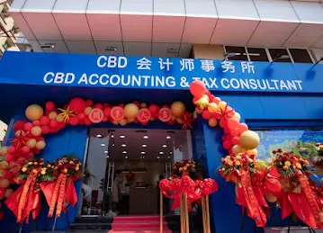 CBD Accounting and TAX Consultant