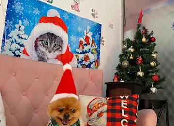 Celine & Paws