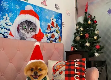 Celine & Paws