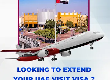Census Travel & Tourism