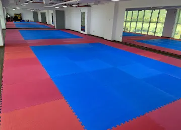 Champions Karate Academy | Best Karate Classes for Kids & Adult