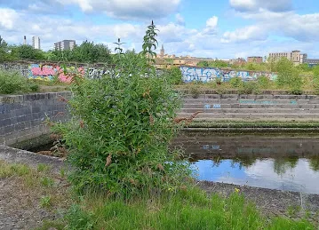 City Land Grocery