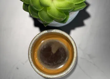 CODE11 speciality coffee
