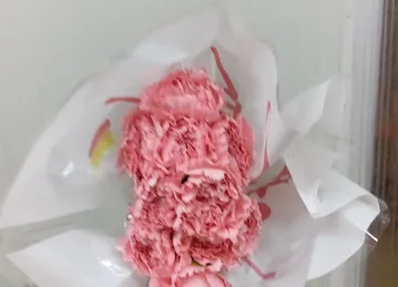 Colors Land