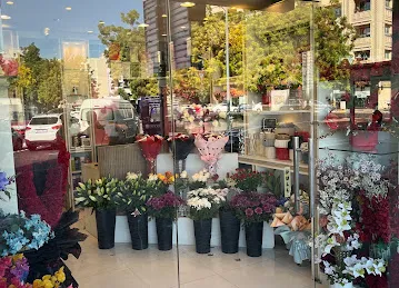 Colourful Flowers LLC