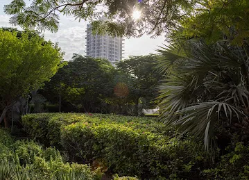Community Park