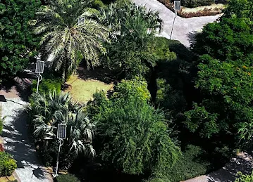 Community Park