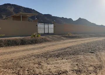 Cow Farm