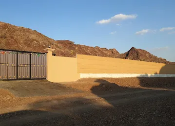 Cow Farm