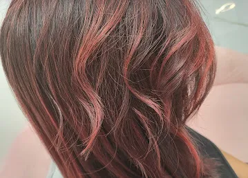 Crazy Cut by Christelle Ladies Salon