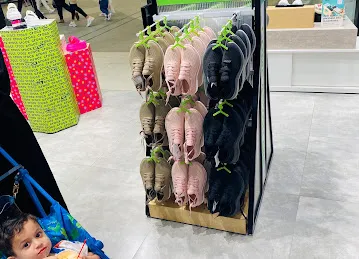 crocs