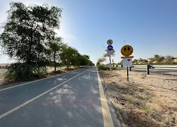 Cycle Safe Dubai - Weekend Rides