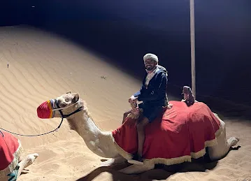 Daily Desert Tourism