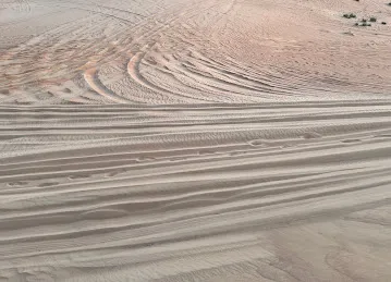 Daily Desert Tourism