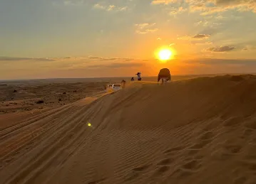 Daily Desert Tourism