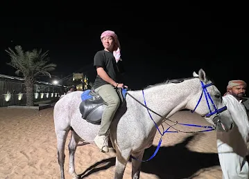 Daily Desert Tourism