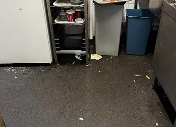 Daily fresh