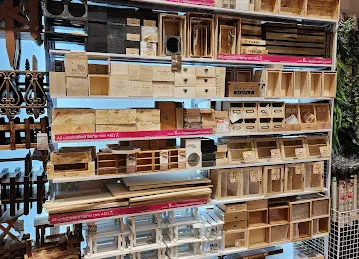Daiso Japan