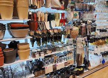 Daiso Japan