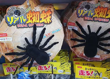 Daiso Japan