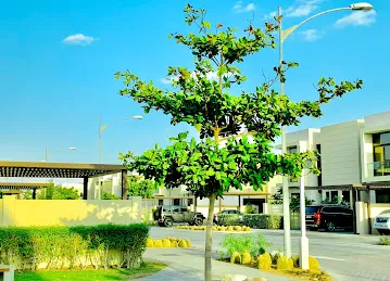 DAMAC Sales Center- DAMAC Hills