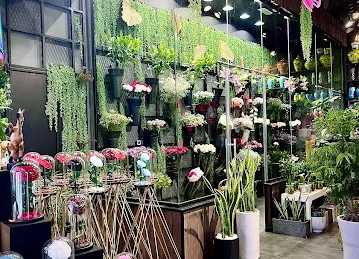 Dantel Flowers Maydan