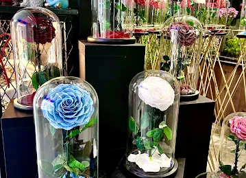 Dantel Flowers Maydan