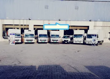 Dart Link Logistics