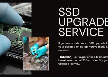 DataLife Computers LLC