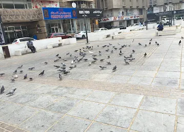 Deira Otopark
