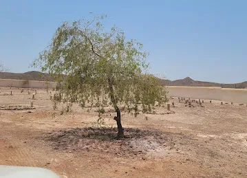 Delma Cemetery
