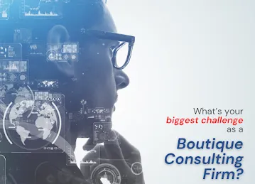 Delverve Consulting