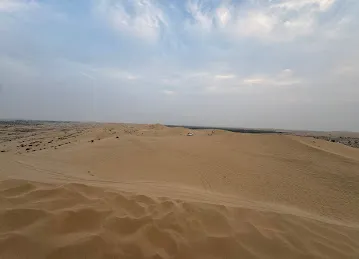 Desert Dreams Camp