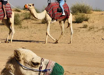 Desert Dubai Safari