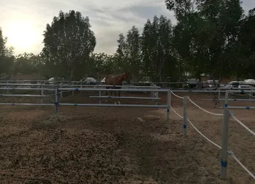 Desert Equestrian Club