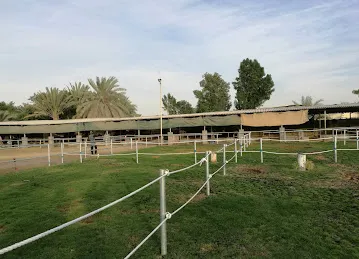 Desert Equestrian Club