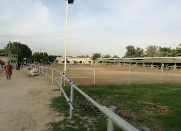 Desert Equestrian Club