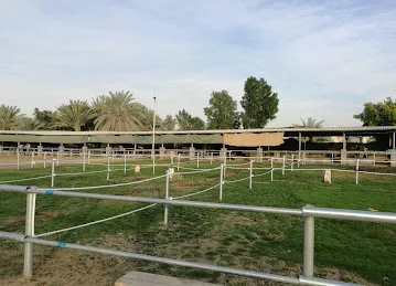 Desert Equestrian Club