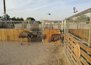 Desert Equestrian Club
