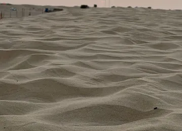 Desert for free photo shooting