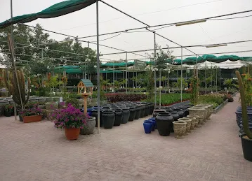 Desert Group Garden Service