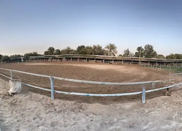 Desert Oasis Equestrian Club