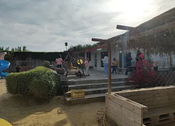 Desert Oasis Equestrian Club