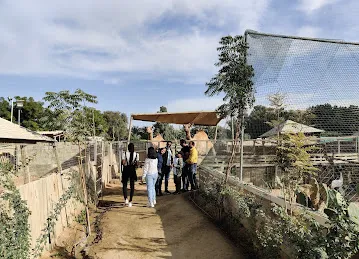 Desert Oasis Equestrian Club