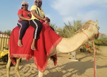 Desert Planet Tourism LLC | Desert Safari Dubai