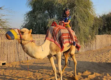 Desert Planet Tourism LLC | Desert Safari Dubai