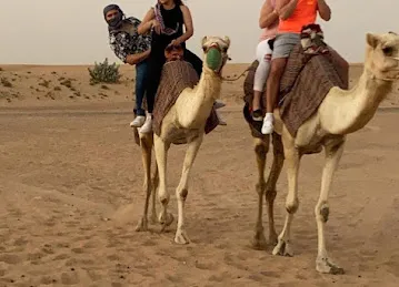 Desert Ride Tourism